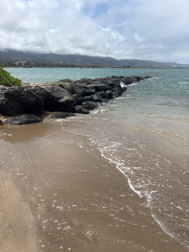 walking near me in Hoaloha Park in summer
