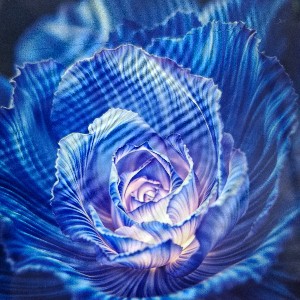 S.E.    -     Sebbi profile