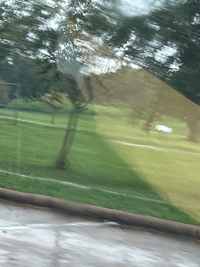 walking near me in Mac Lean Park in autumn