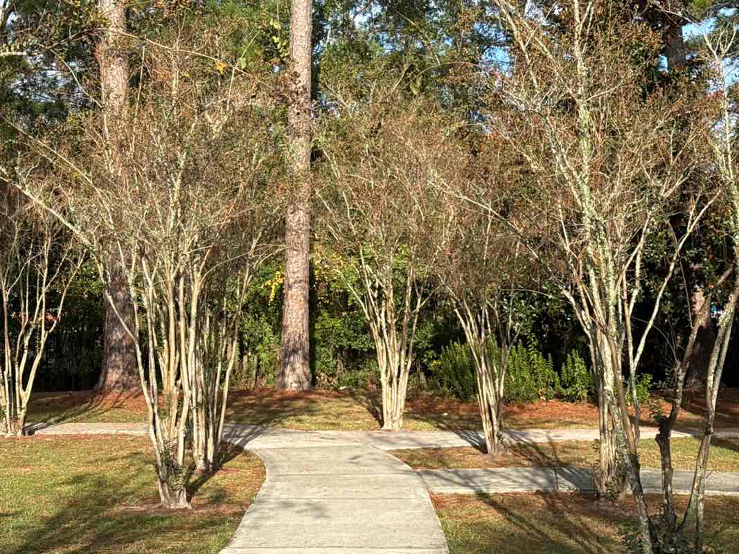 walking near me in Bayou View Park in autumn