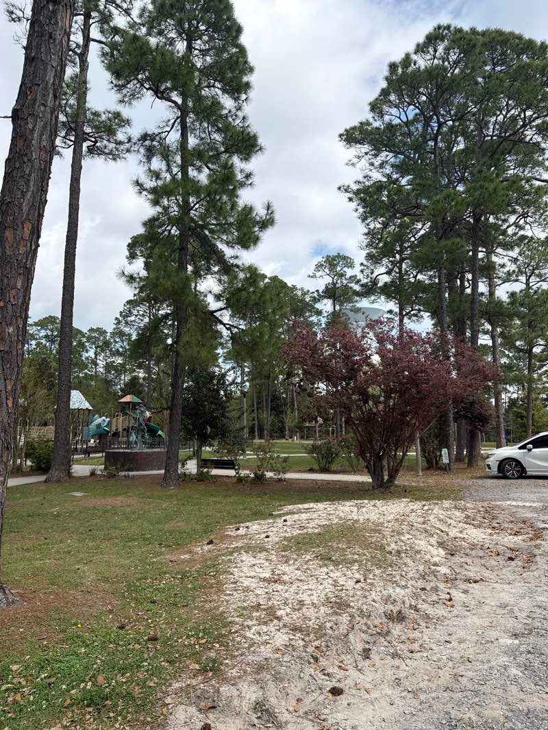 walking near me in Bayou View Park in spring