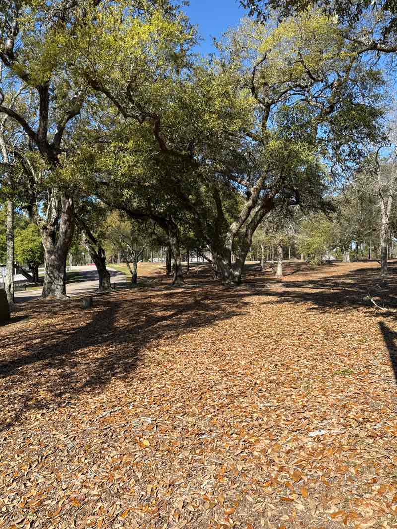 walking near me in DH Country Club Recreation Park & Walking Trail in spring