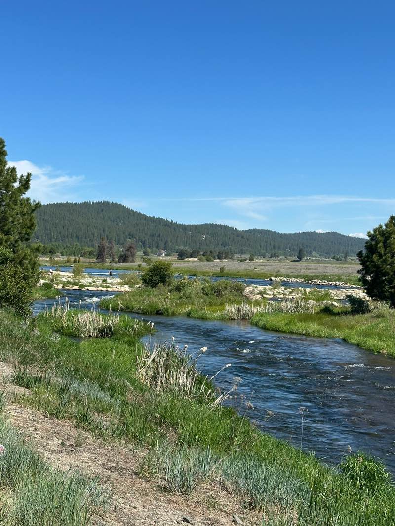 walking near me in Kelly's Whitewater Park in summer