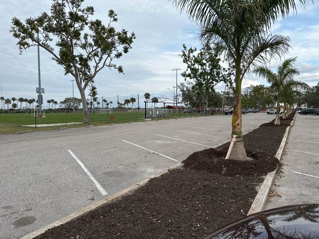 walking near me in Blackstone Park in winter