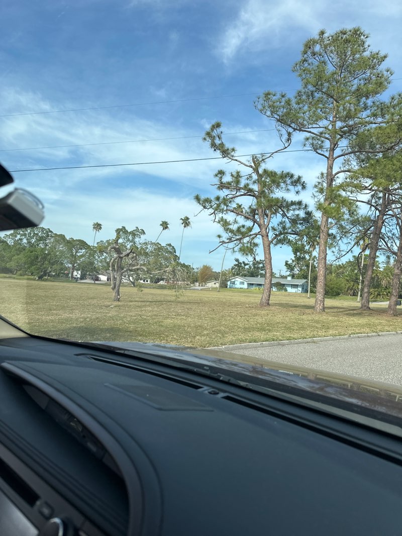 walking near me in Seville Park in spring