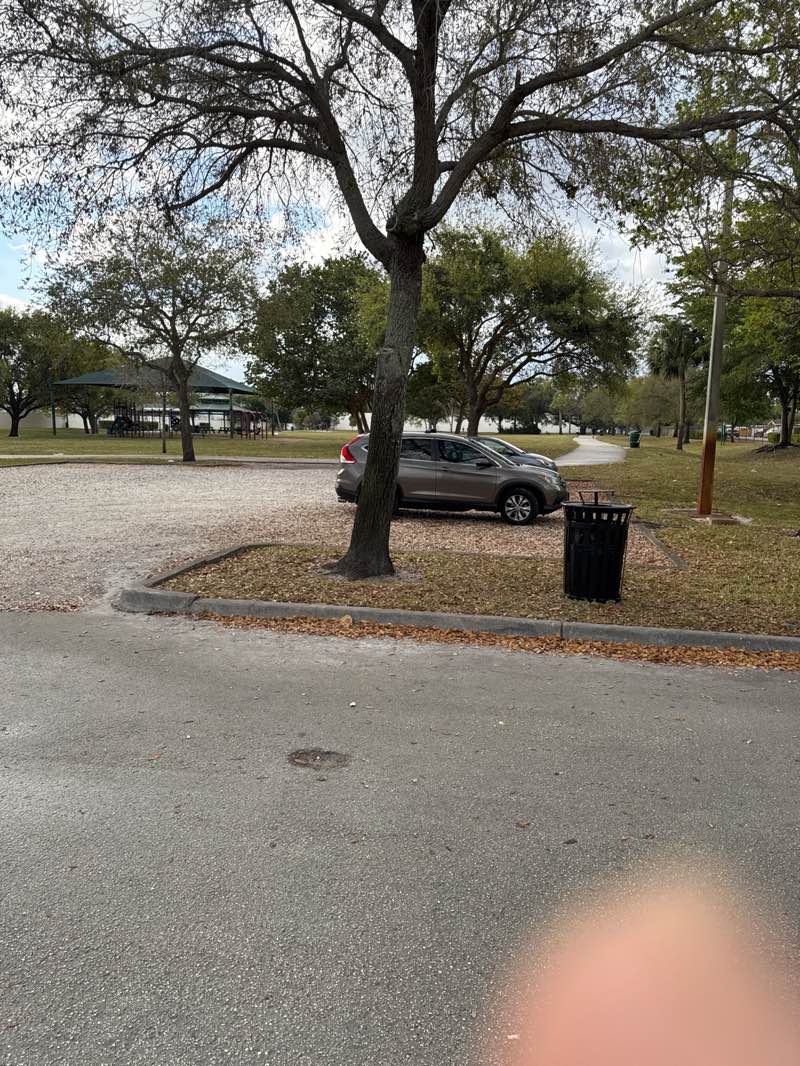 walking near me in Betty Booth Roberts Park in winter