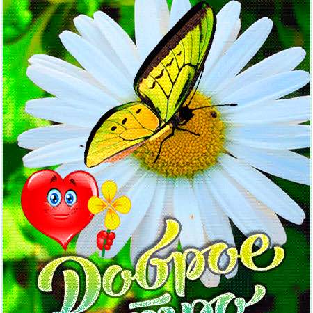 ZVereffserg 🇷🇺Ekb post 2