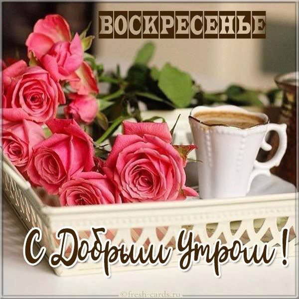 ZVereffserg 🇷🇺Ekb post 2