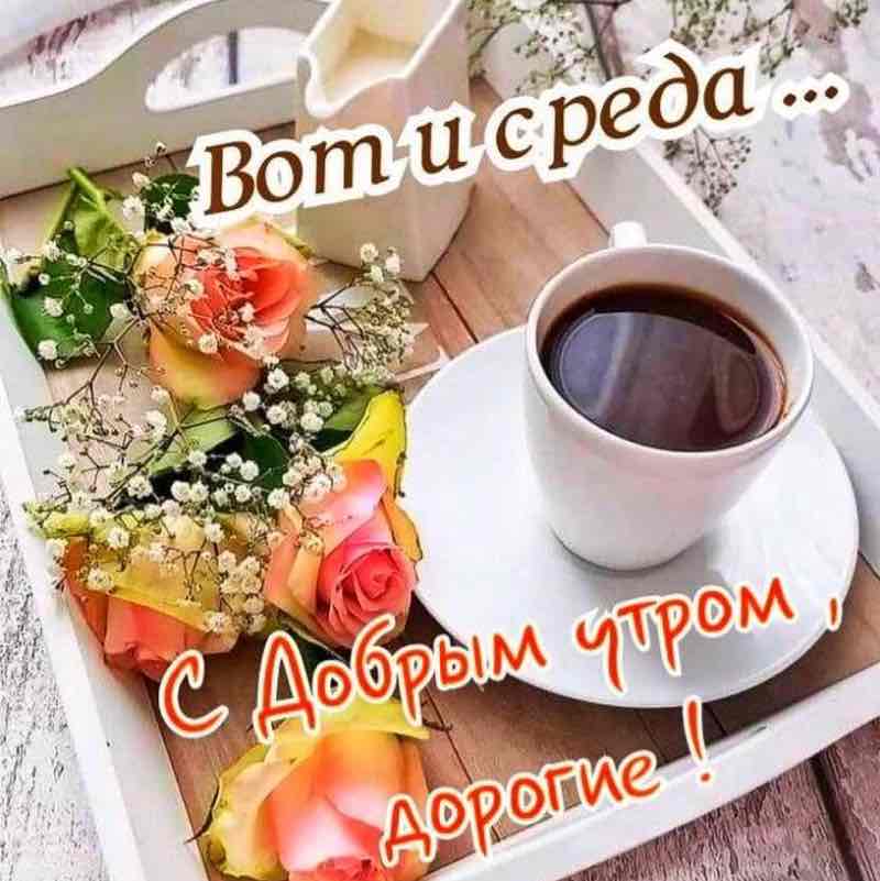 ZVereffserg 🇷🇺Ekb post 2