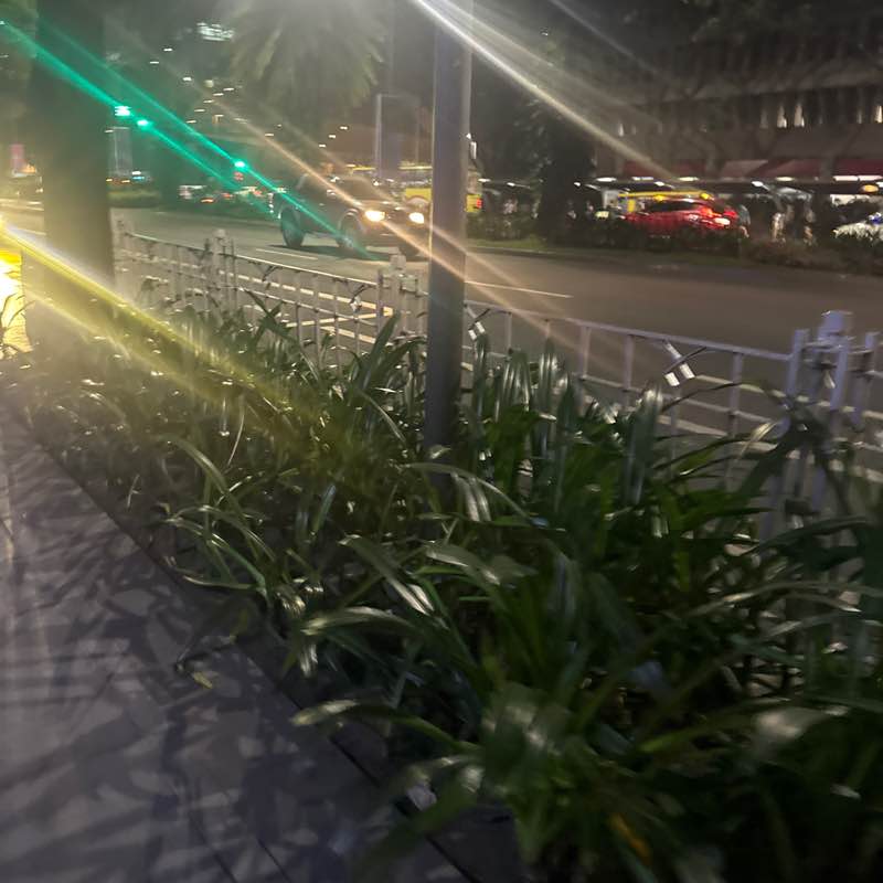 Jan Wittie Roderno post 1