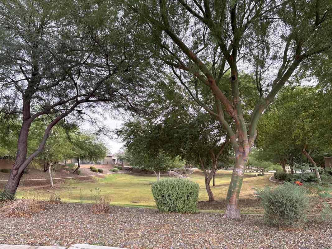 walking near me in Three Olive Park in autumn