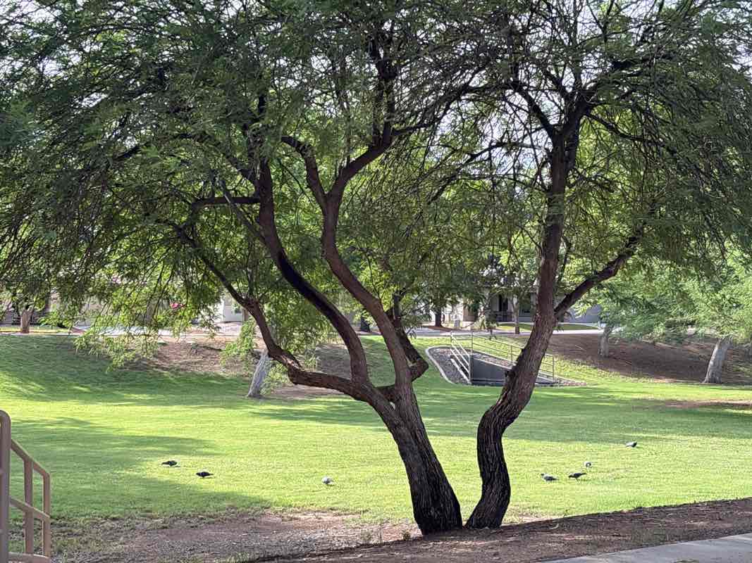 walking near me in North Mountainside Park in autumn