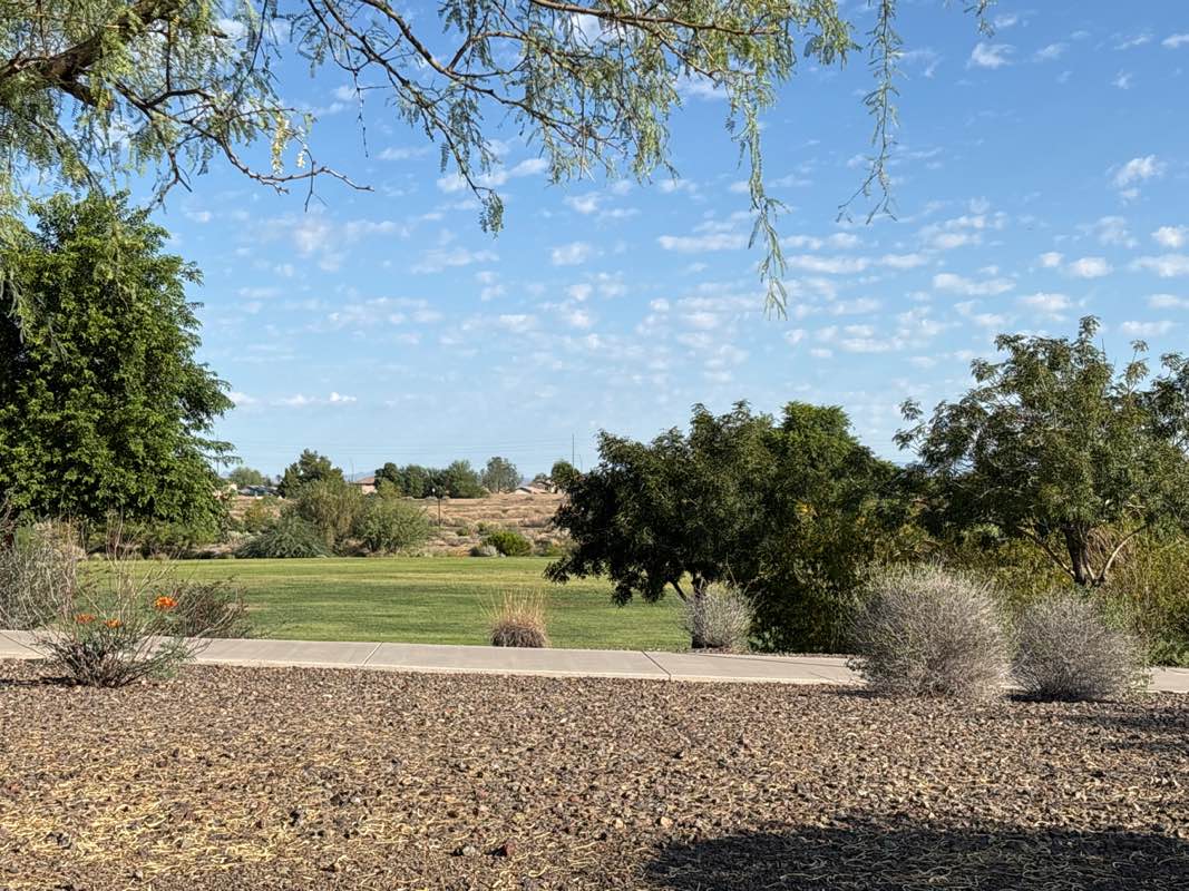 walking near me in Lower El Mirage Wash Basin in autumn