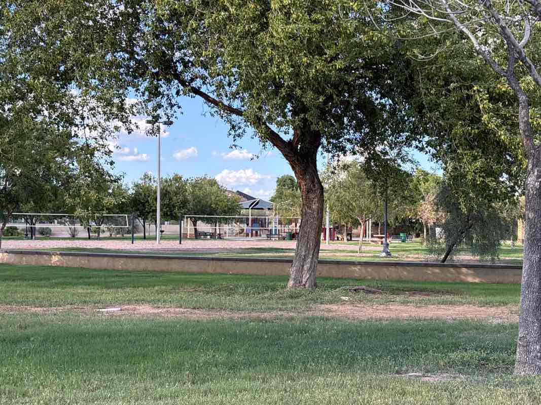 walking near me in Sycamore Grove Park in autumn