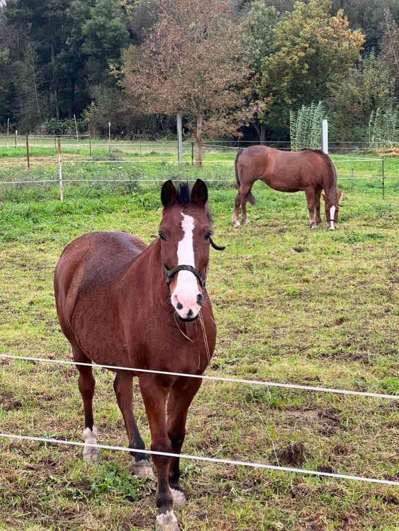 walking near me in Paseo do Gafos in winter