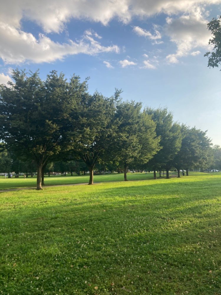 walking near me in Marconi Plaza in autumn