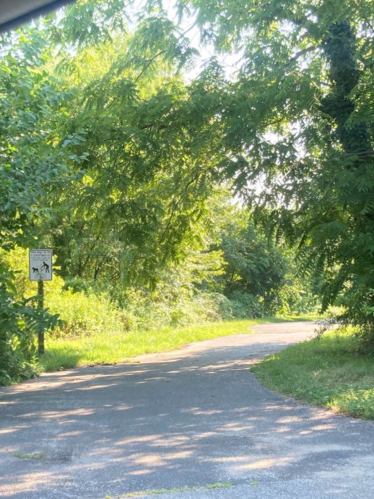 walking near me in Tall Pines State Preserve in summer