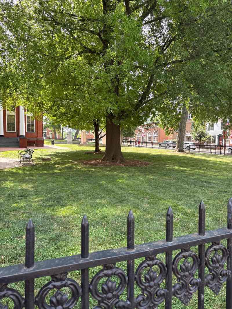 walking near me in Courthouse Square in summer