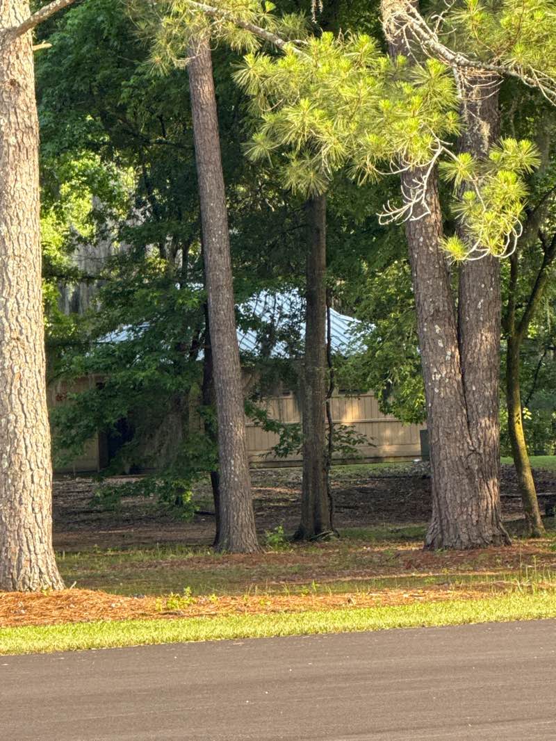 walking near me in Cooter's Pond Park in spring