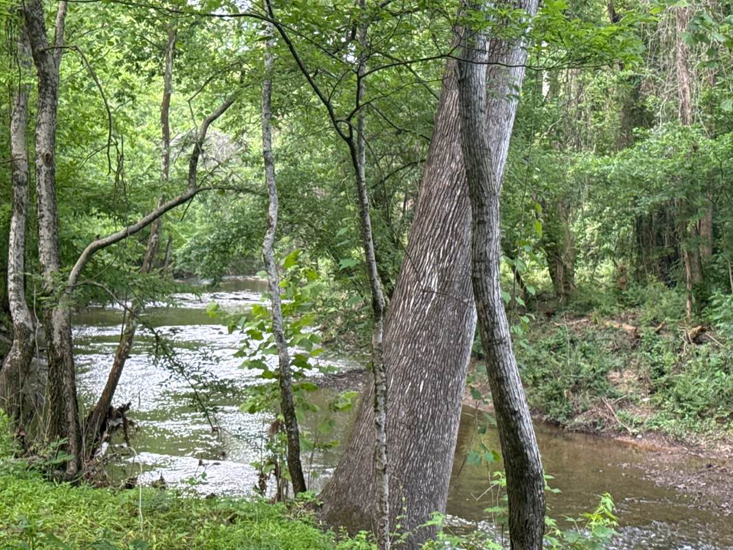 walking near me in Jemison Park in spring