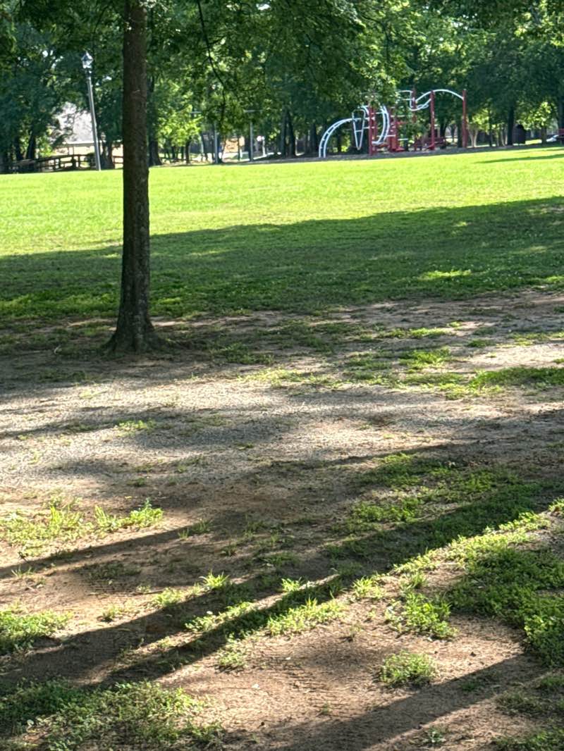 walking near me in East Poplar Park in spring