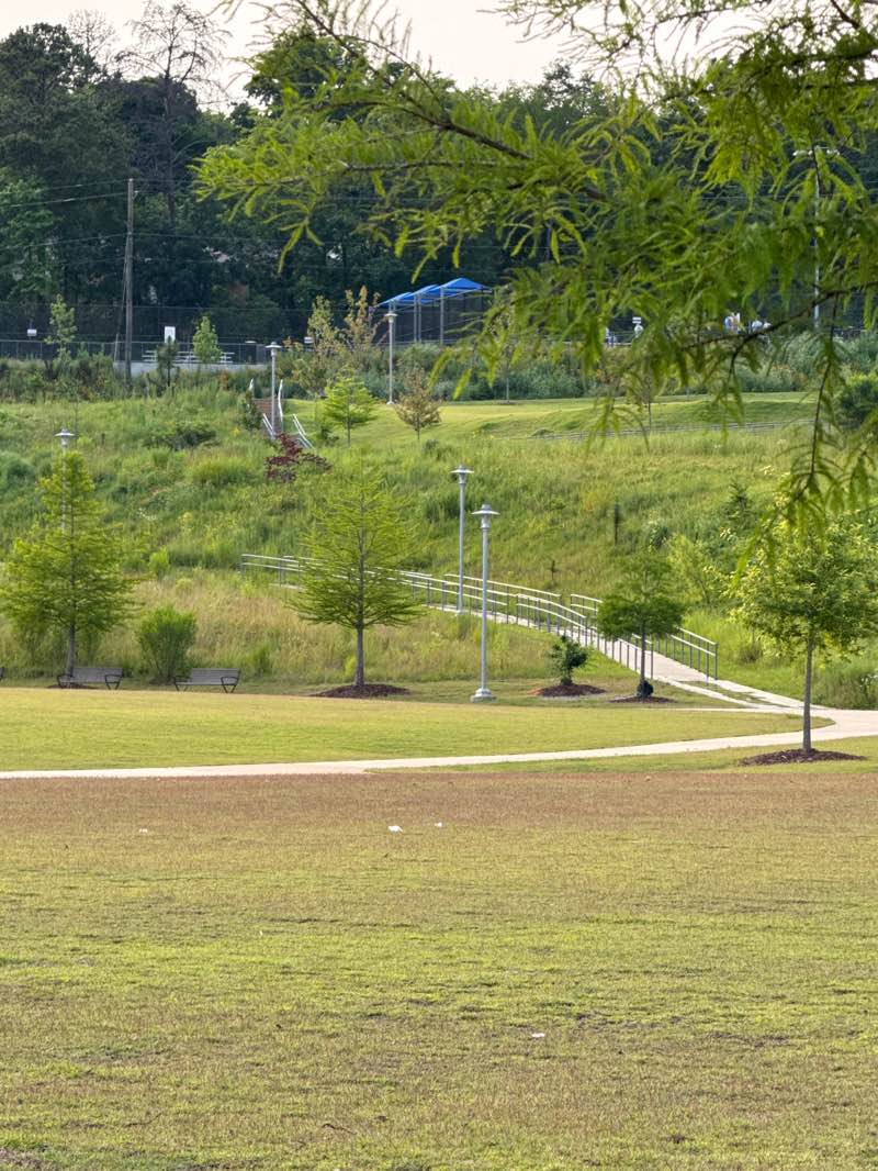 walking near me in Wald Park in summer