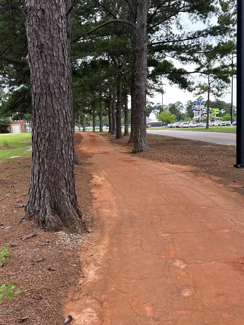 walking near me in Westgate Memorial Park in summer