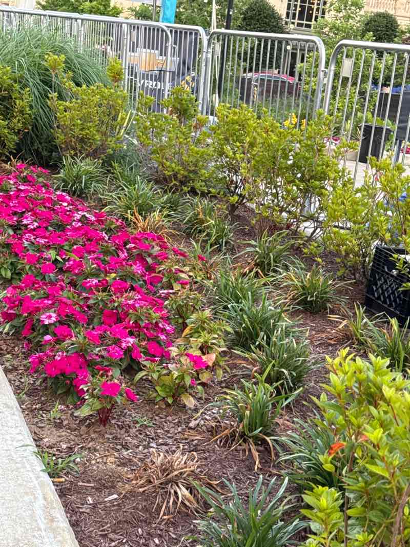 walking near me in Music City Walk of Fame Park in summer
