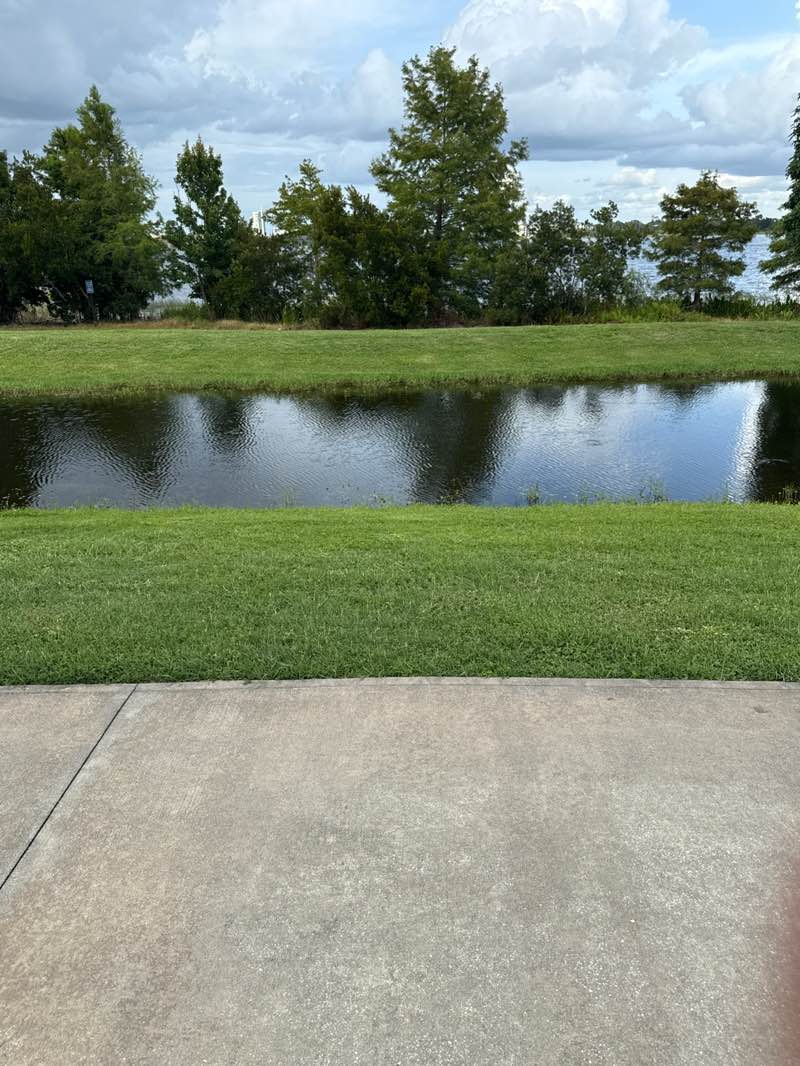 walking near me in Dr. P. Phillips Community Park in summer