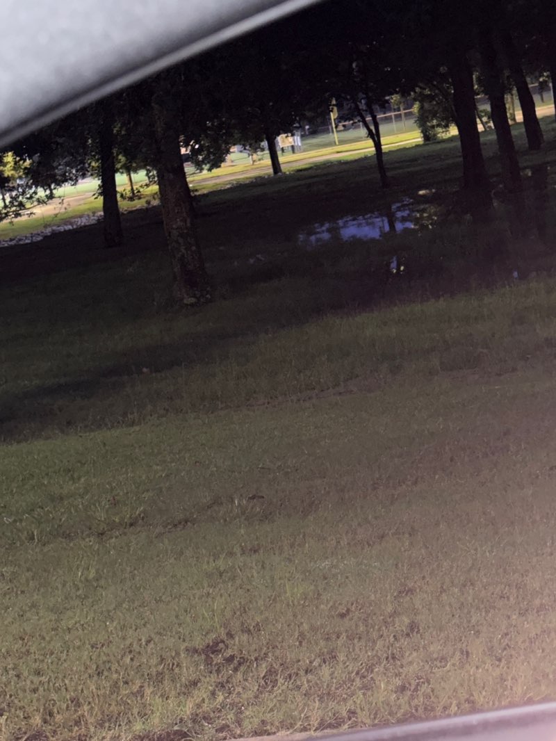 walking near me in West Homewood Park in summer