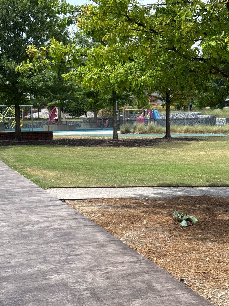 walking near me in Railroad Park in autumn