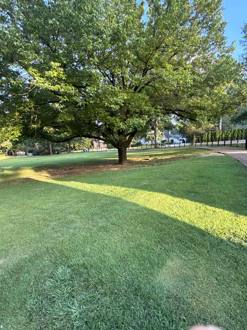 walking near me in Overton Park in autumn