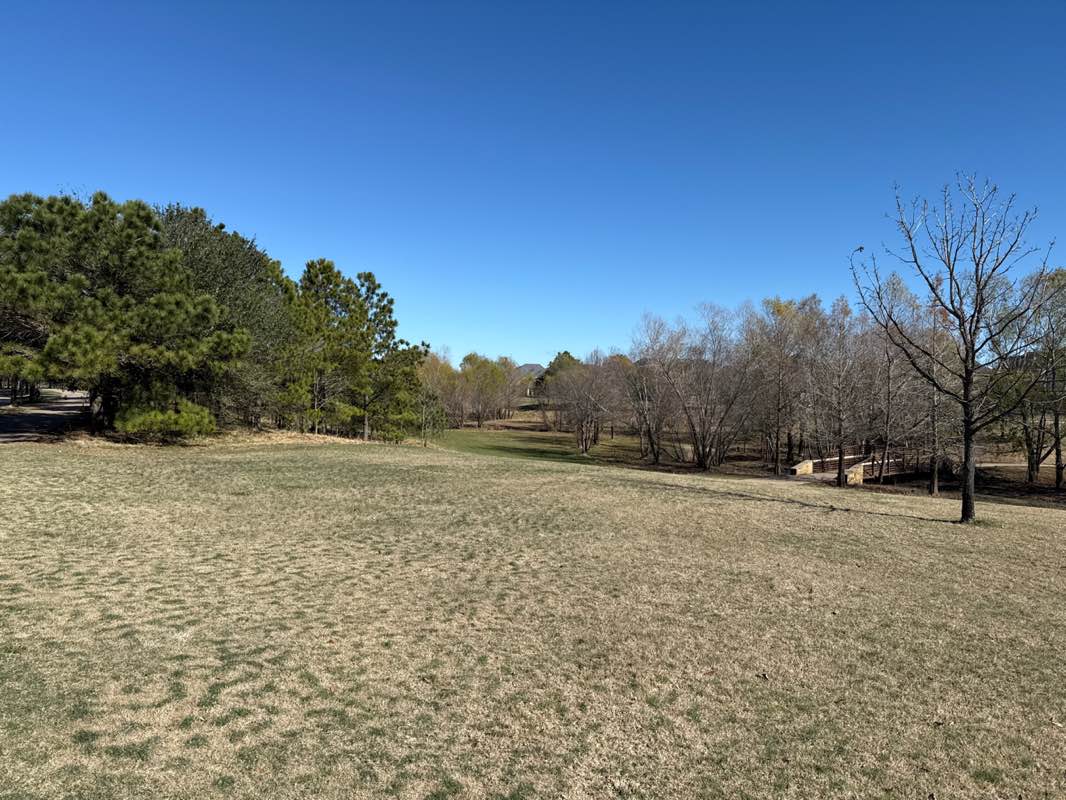 walking near me in Arbor Park in winter