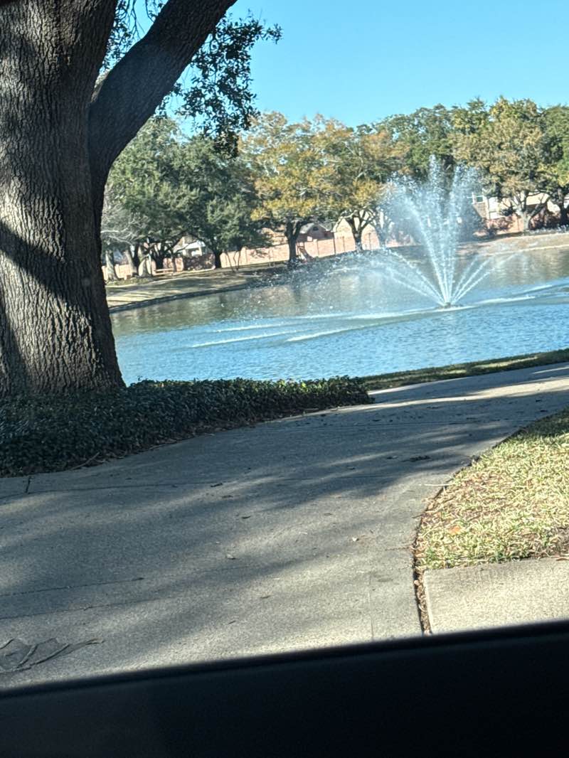 walking near me in Cinco Ranch South Lake Park in winter