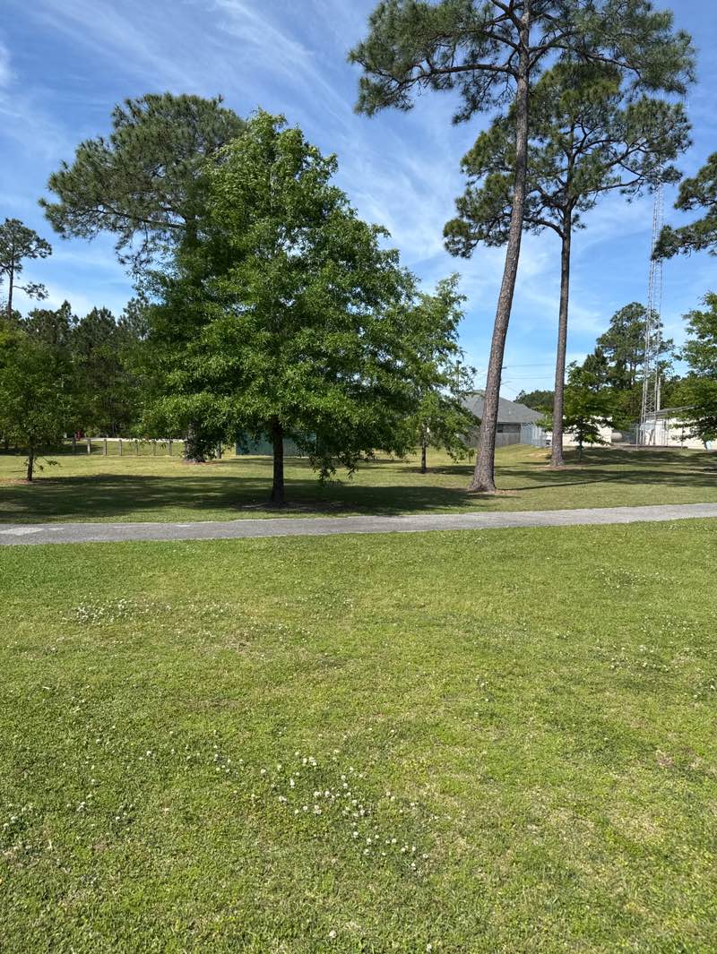 walking near me in St. Andrews Park in spring