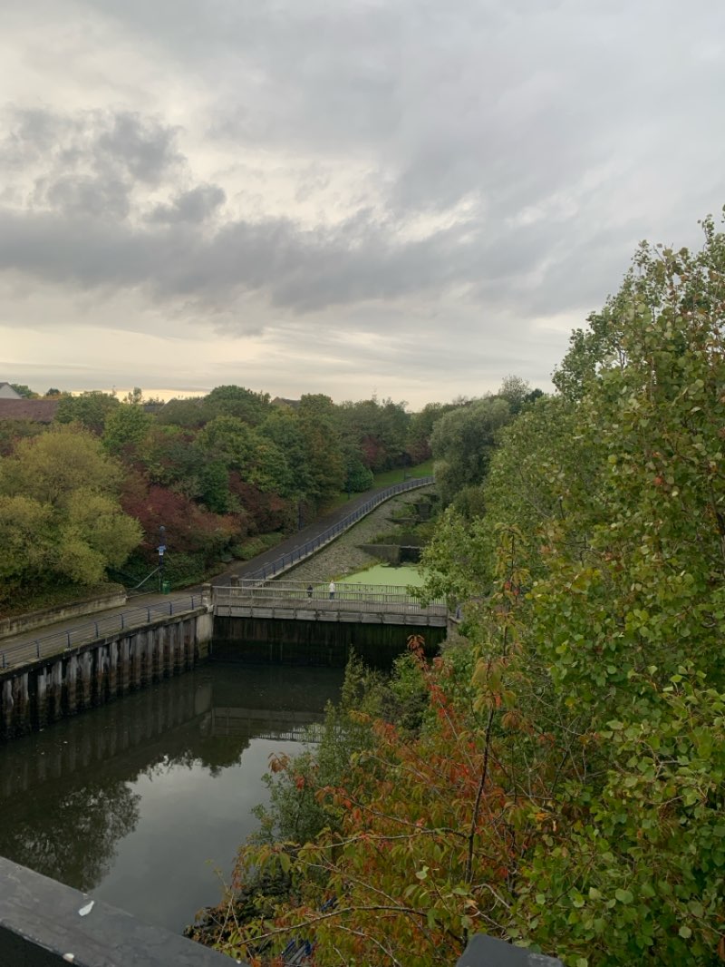 walking near me in Redburn Dene in autumn