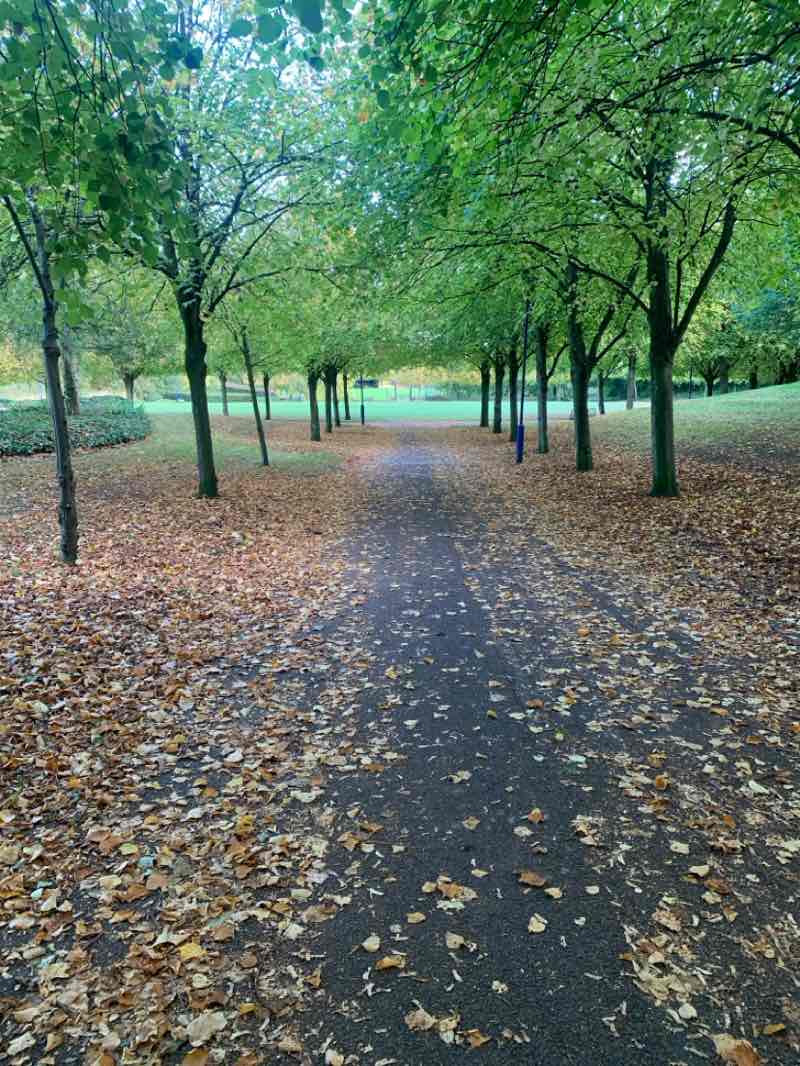 walking near me in Chirton Dene Park in autumn
