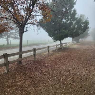 July 5k Race #1 Marco post image