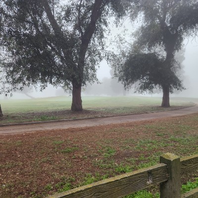 July 5k Race #1 Marco post image