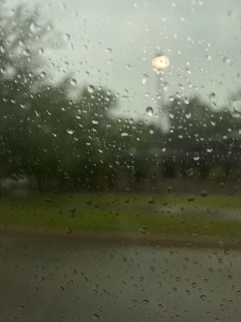 walking near me in Horsebarn Trailhead Park in summer