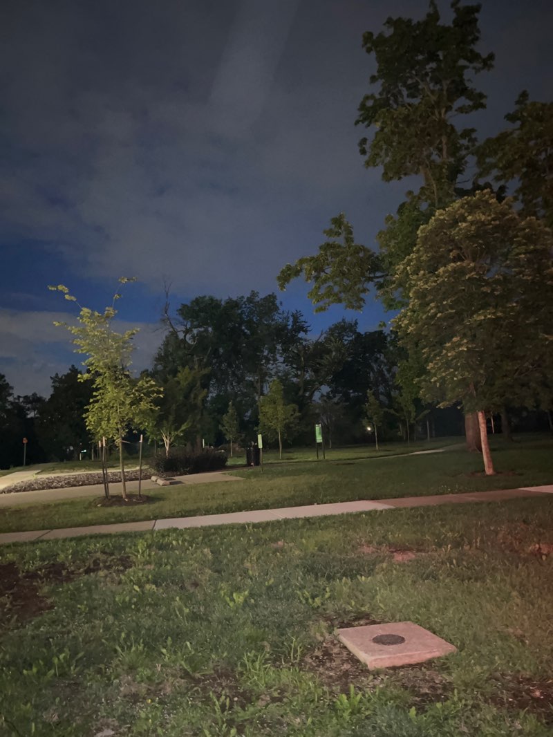walking near me in Austin-Baggett Park in summer