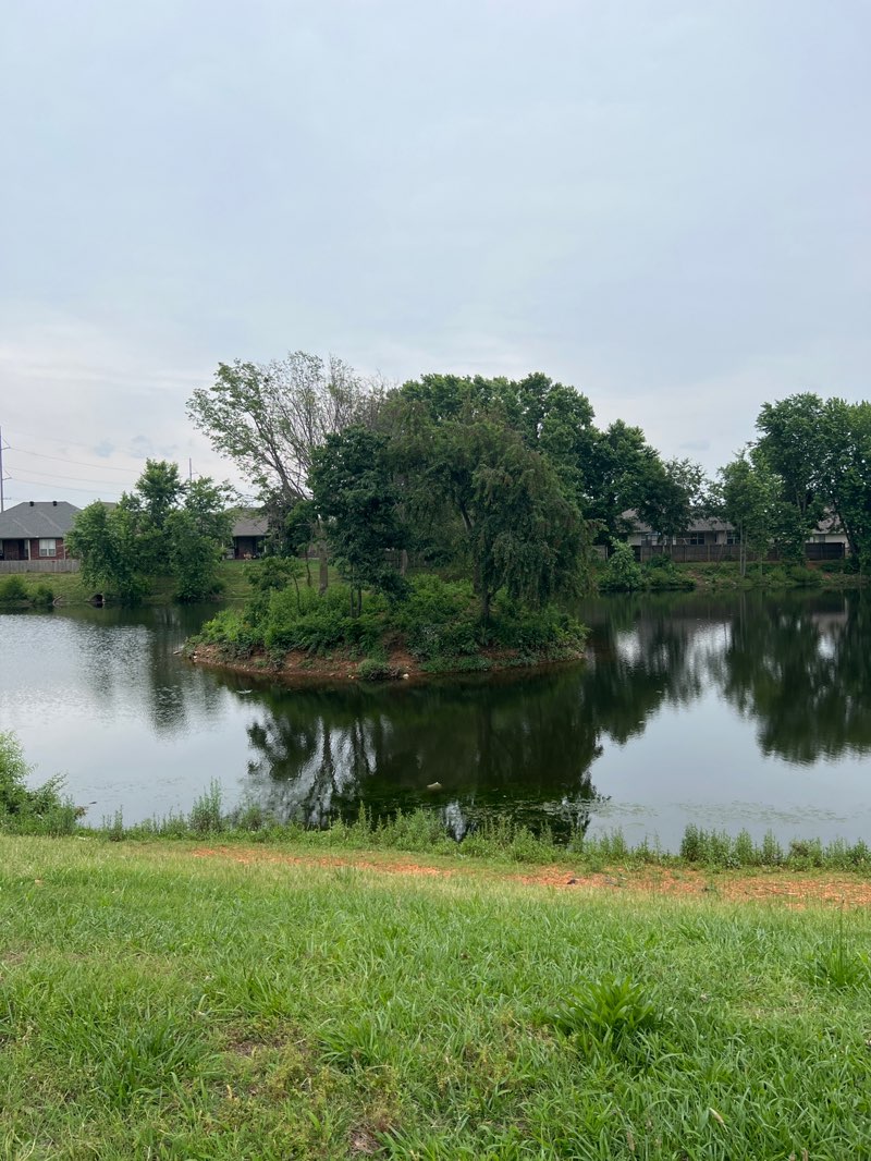 walking near me in Harvest Park in summer