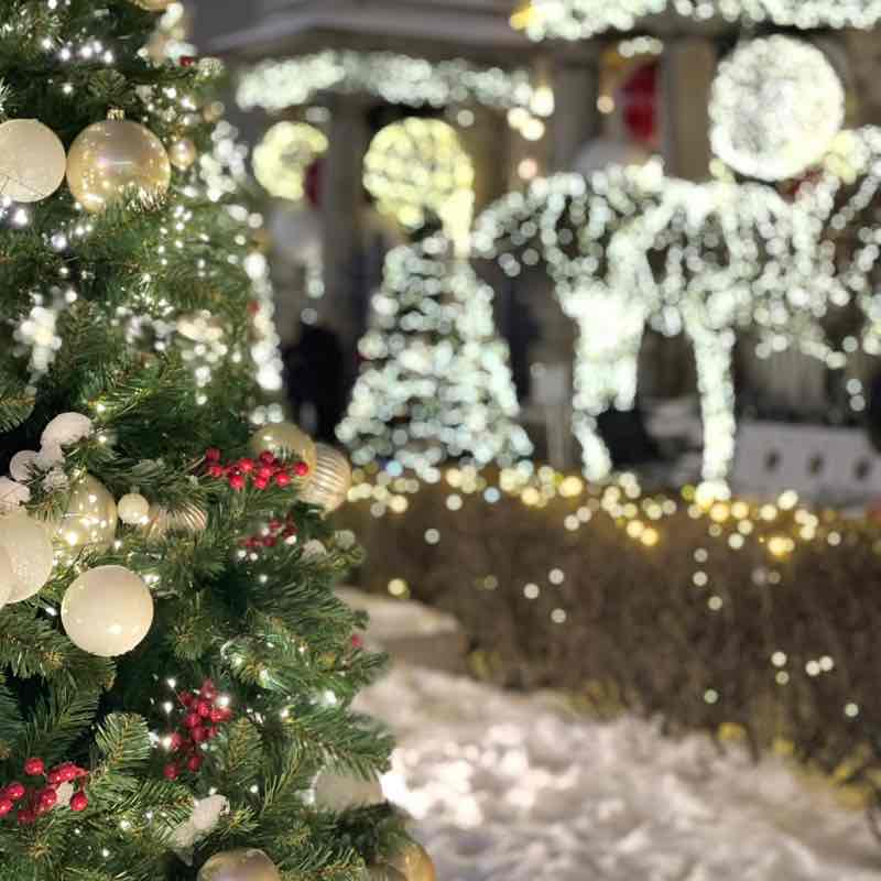 Albina 🇷🇺 post 3