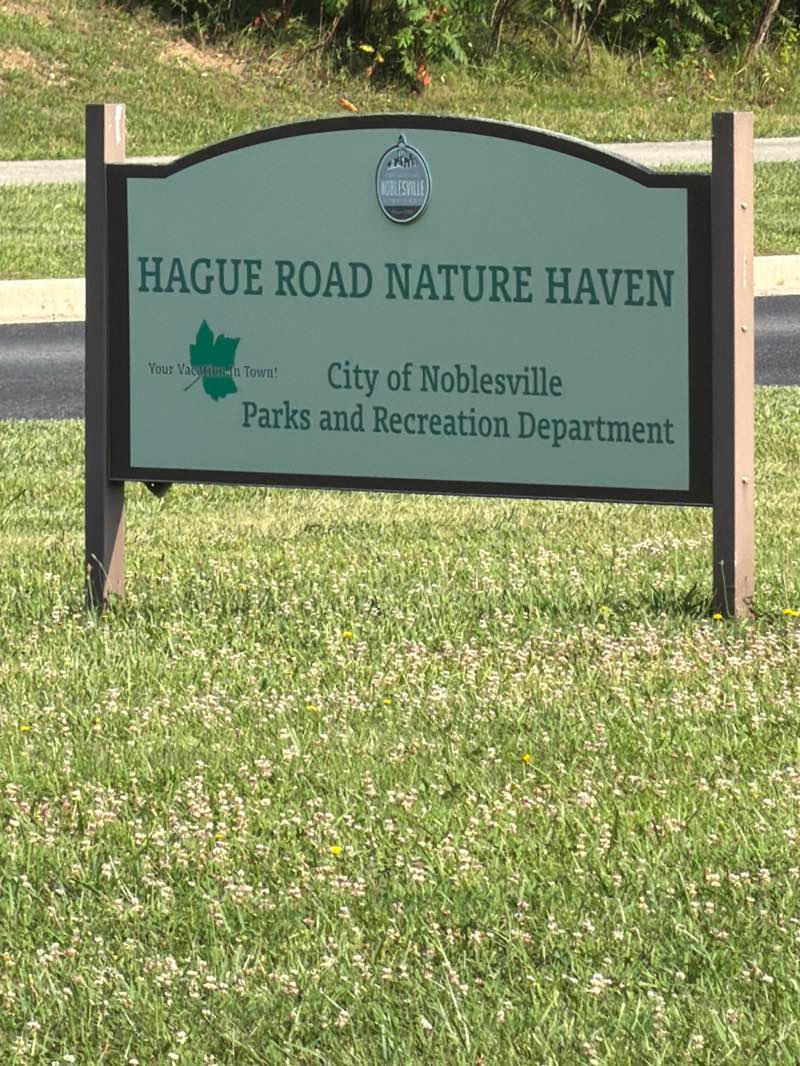 walking near me in Hague Road Nature Haven in summer