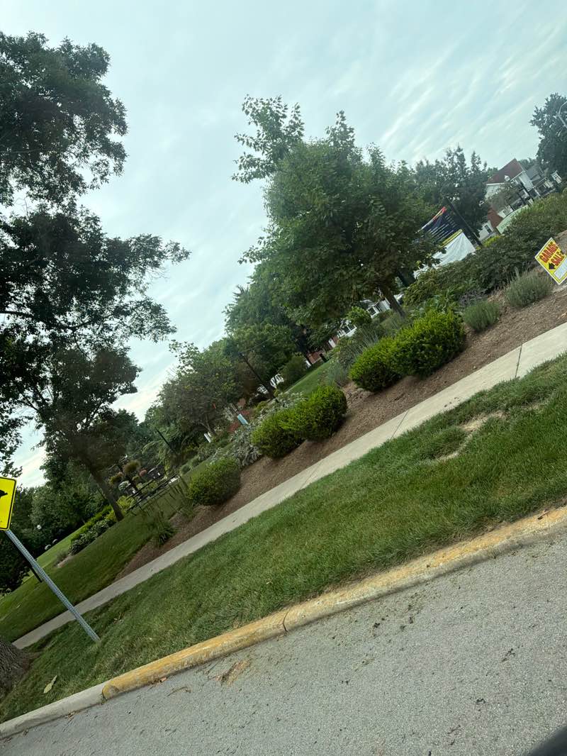 walking near me in Seminary Park in summer