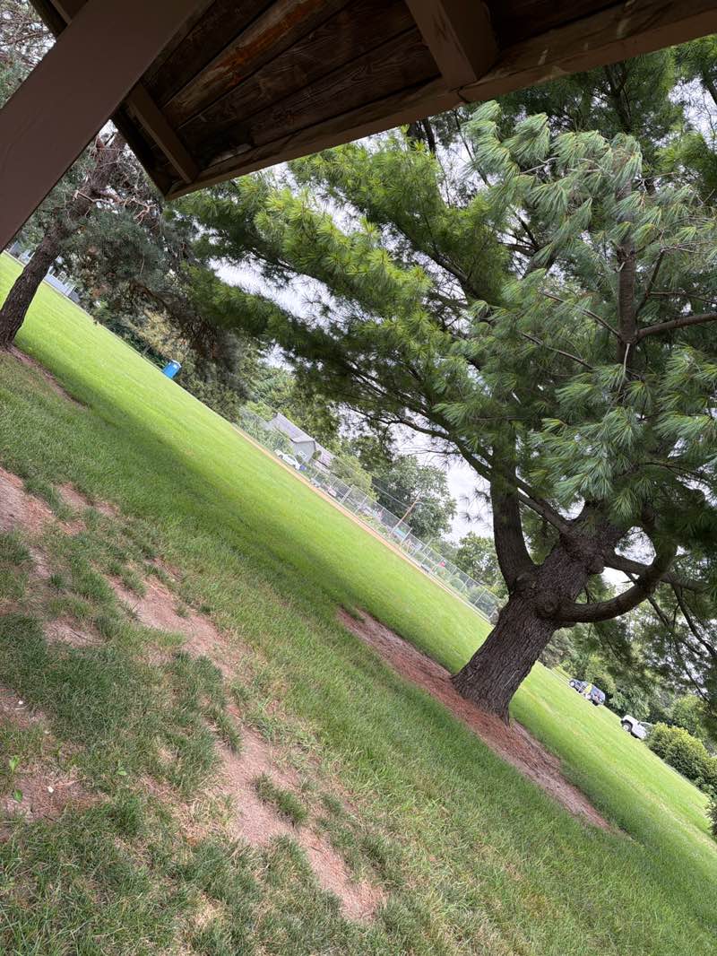 walking near me in Southside Park in summer