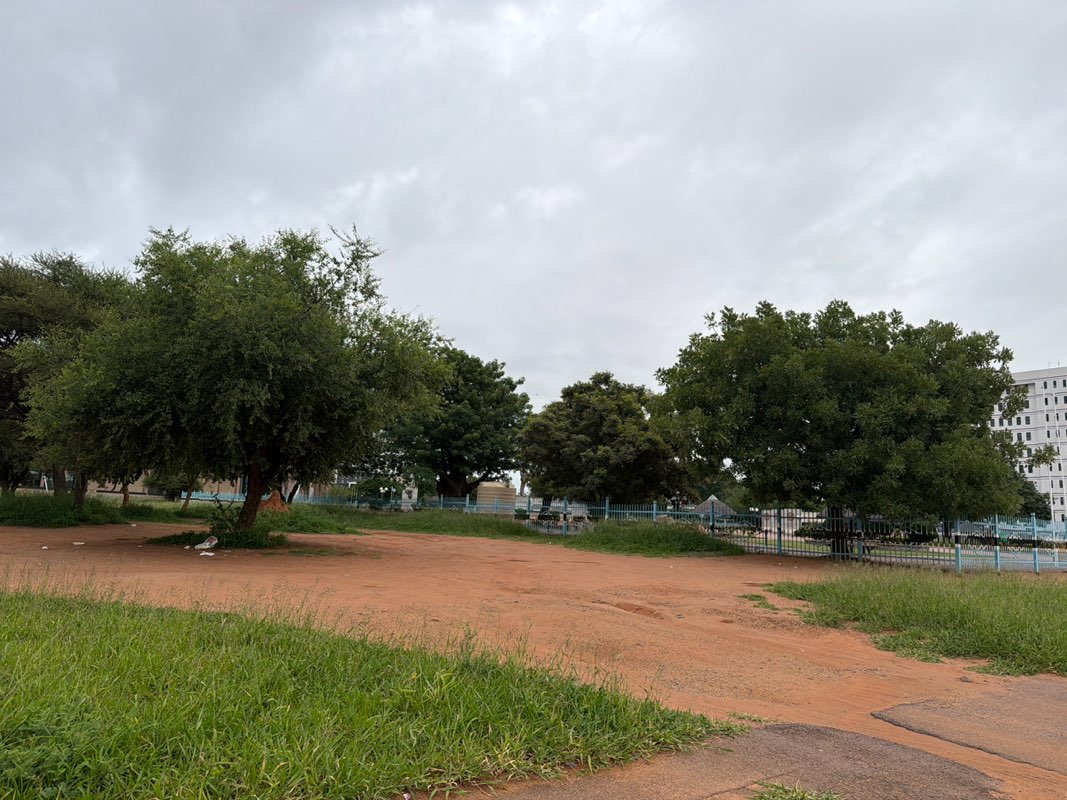 walking near me in Three Dikgosi Park in summer