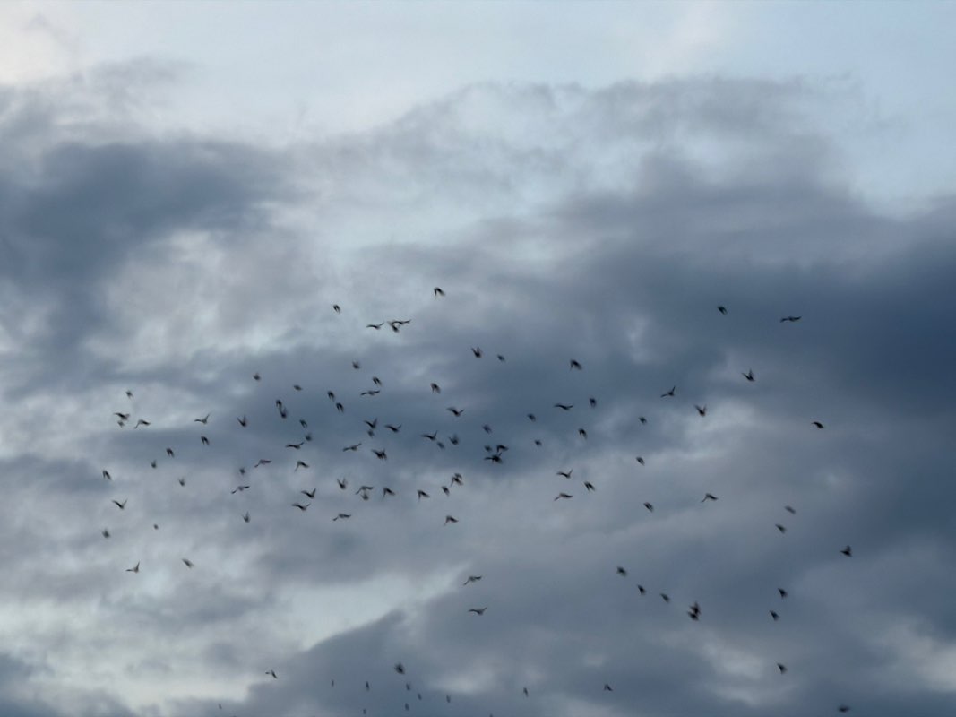 walking near me in Three Kings Park in summer