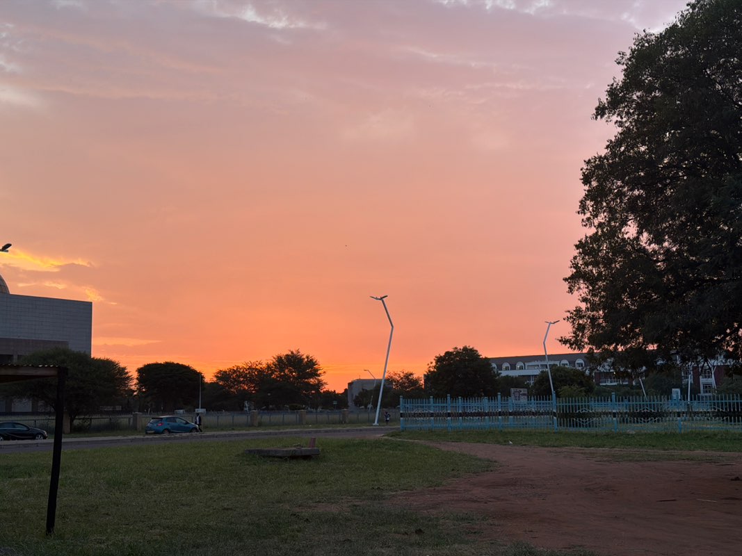 walking near me in Three Kings Park in summer