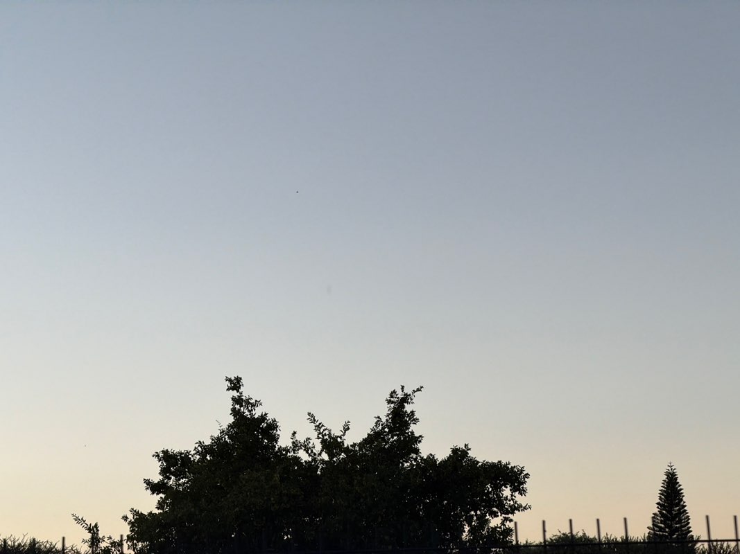 walking near me in Morakanelo Park in summer